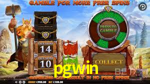 Programa VIP pgwin