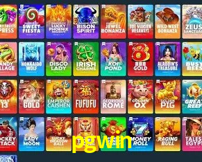 Interface pgwin